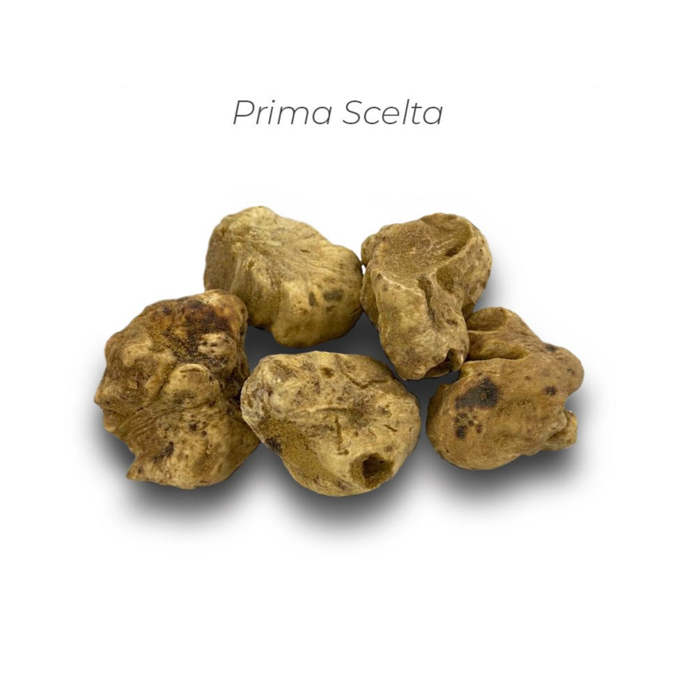 Trufa albă (Tuber magnatum Pico)