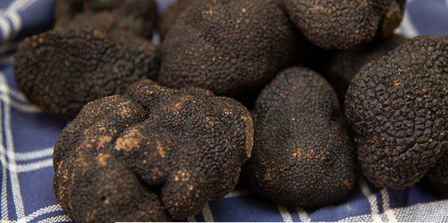 Trufe negre de vară congelate