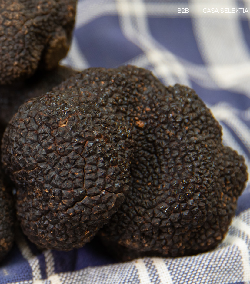 Trufe negre de vară congelate