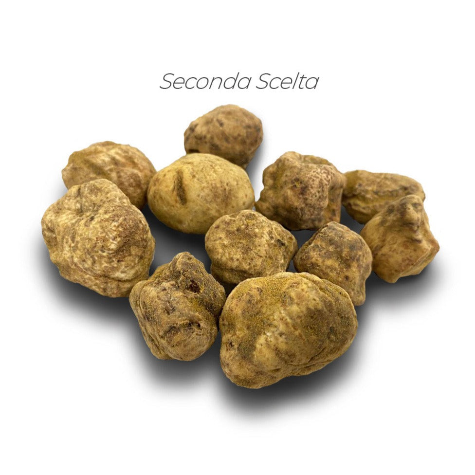 Trufa albă (Tuber magnatum Pico)